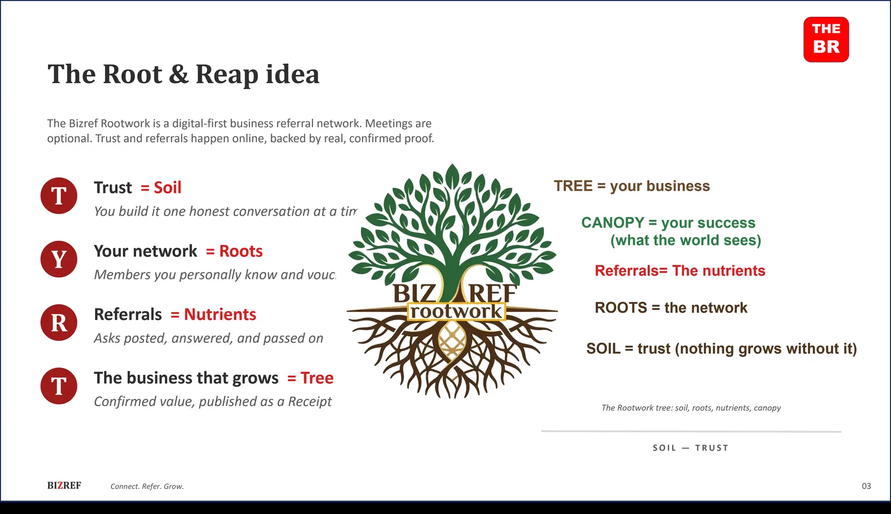 The Rootwork canopy: a tree fed by a glowing red root network